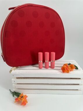 Estée Lauder 3x Rebellious Rose Lipstick and Limited Edition Train Case